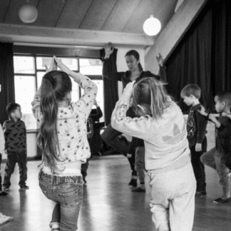 Begeleiding euritmieleerkracht