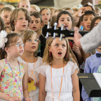 Muziekleerlijn op de vrijeschool